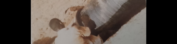 banner picture