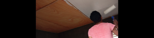 banner picture