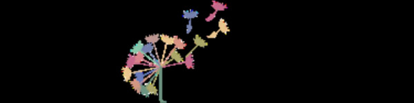 banner picture