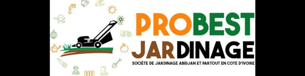 banner picture