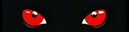 banner picture