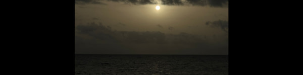 banner picture
