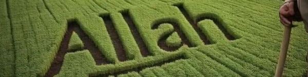 banner picture