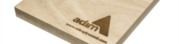 banner picture