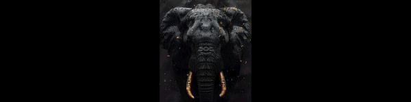 banner picture