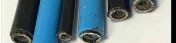 banner picture