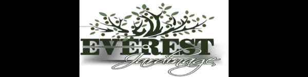 banner picture