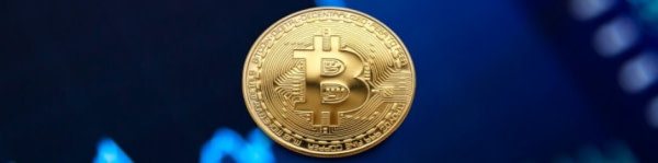 banner picture