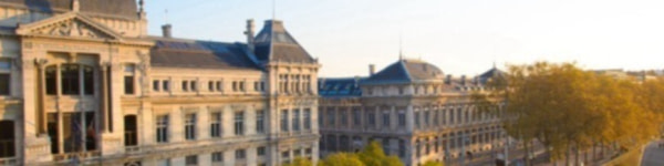banner picture