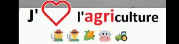 banner picture