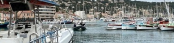 banner picture