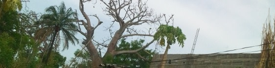 banner picture