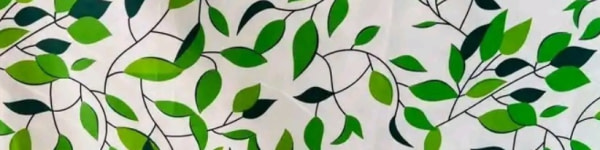 banner picture