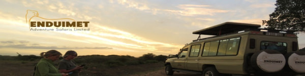 banner picture