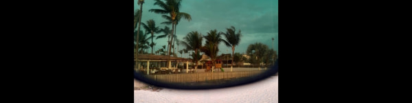 banner picture