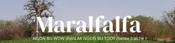 banner picture