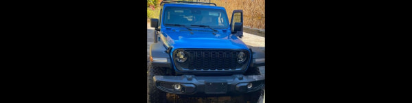banner picture