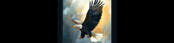 banner picture