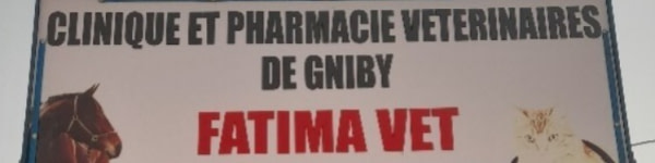 banner picture