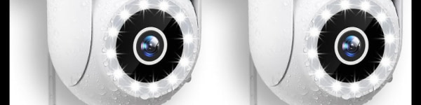 banner picture