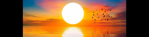 banner picture