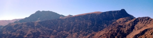 banner picture