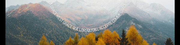 banner picture