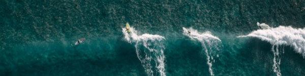 banner picture