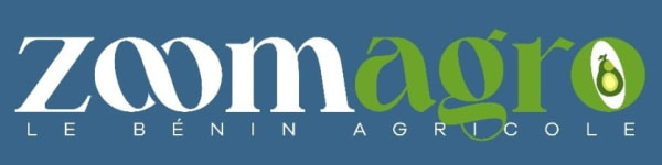 banner picture