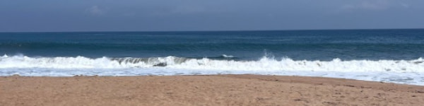 banner picture