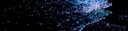 banner picture