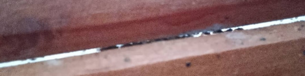banner picture