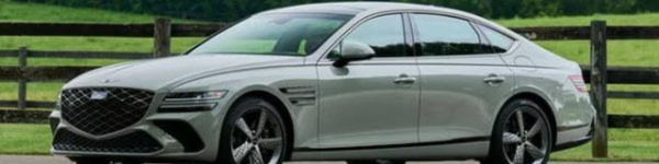 banner picture