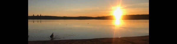 banner picture