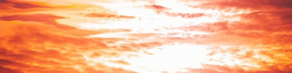 banner picture