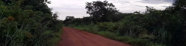 banner picture
