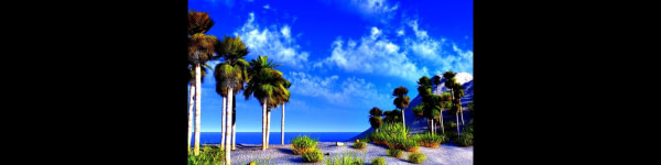 banner picture