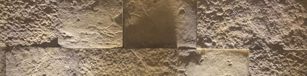 banner picture