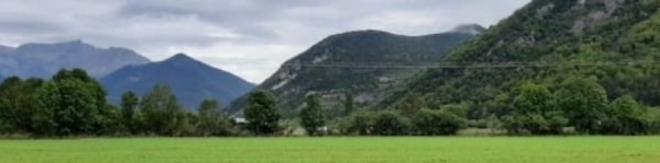 banner picture