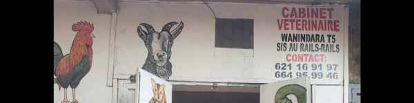 banner picture