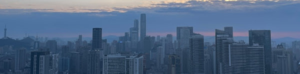 banner picture