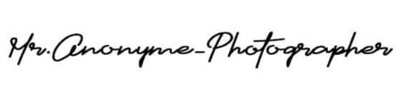 banner picture