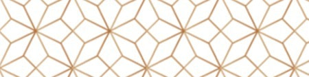 banner picture
