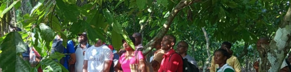 banner picture
