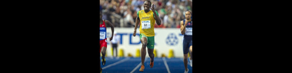 banner picture