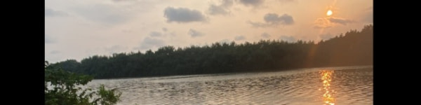 banner picture