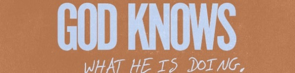 banner picture