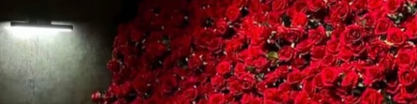 banner picture