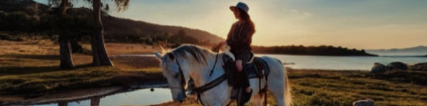 banner picture