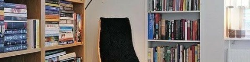 banner picture
